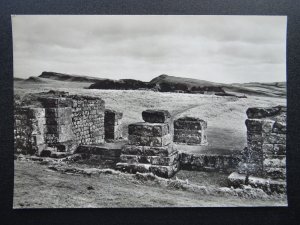 Northumberland HOUSETEADS Roman Fort WEST GATE Borcovicium c1960s RP Postcard