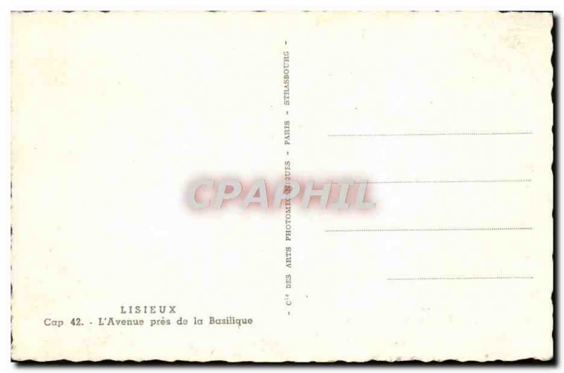 Old Postcard Lisieux L & # 39Avenue Pres De La Basilique
