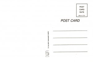 Basketball,10th Pan American Games,Indianapolis 1987