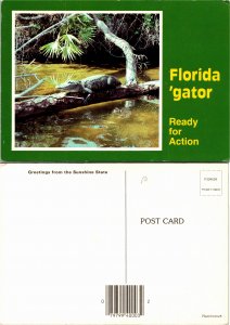 Florida Gator (33138