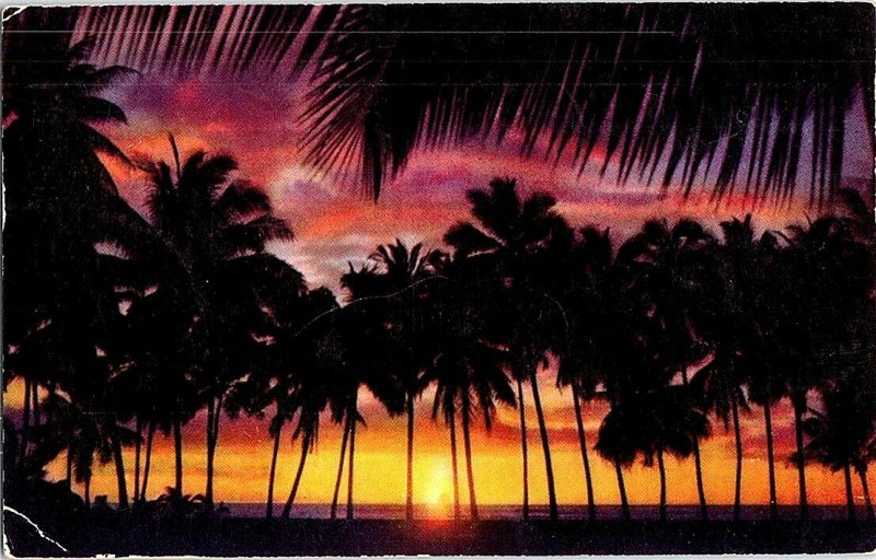 Sunset Through Palms Hawaii Vintage Postcard Standard View Card