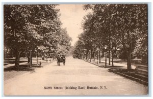 c1905 North Street Looking East Horse Carriage Buffalo New York NY Postcard 