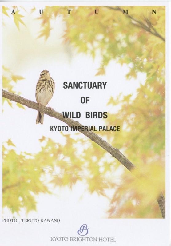 Sanctuary Of Wild Birds Kyoto Imperial Palace Brighton Hotel Postcard D11