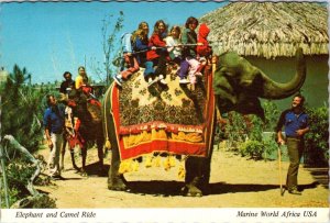 Redwood City, CA California ELEPHANT RIDE/Kids MARINE WORLD PARK 4X6 Postcard