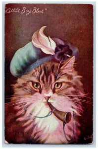 German Valley Iowa IA Postcard Little Boy Blue Cat With Bonnet Studio 1908