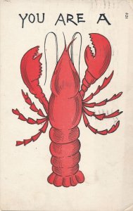 You Are A Red Lobster - Humor - pm 1907 - UDB - Mailed at Atlantic City