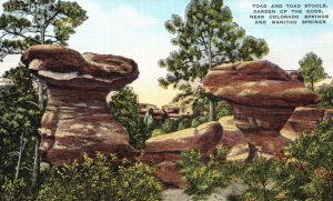Vintage Postcard Toad & Toad Stools Garden Of The Gods Colorado Springs Colorado