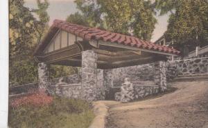 LP35  Lake County, California, CA, Postcard, Arsenic Spring,