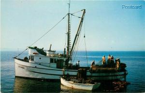 WA, Puget Sound, Western Washington, Salmon Fishing, Fishing Boat Crusader