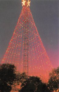 Zilker Park Christmas Tree - Austin, Texas TX  