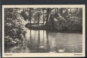 Netherlands Postcard - Singraven, Denekamp   RS14134