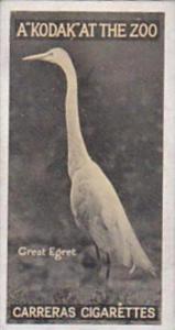 Carreras Cigarette Card Kodak At Zoo 1st Series No 5 Great Egret