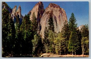 Yosemite National Park  California Postcard