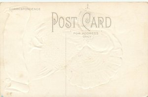 Thanksgiving Postcard Embossed Nash Series T 26 Anthropomorpic Turkey Girl Smile