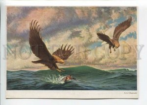 3182324 GERMANY HUNTING eagles catching duck OLSZEWSKI vintage