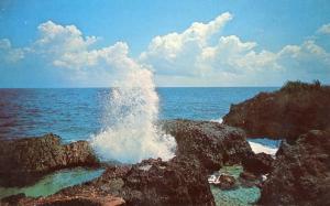 Jamaica - Caribbean Sea