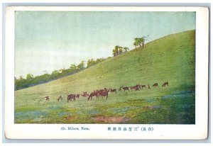 Nara Japan Postcard Mt. Mikasa Animal Gathering in Grasses c1920's Antique