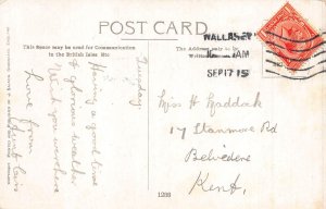 Comic Humor 1915 Humanized Chicken Don't eat those Tacks! postcard  B924