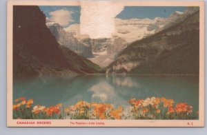 Poppies, Lake Louise, Banff National Park, Alberta, Vintage Coast Postcard