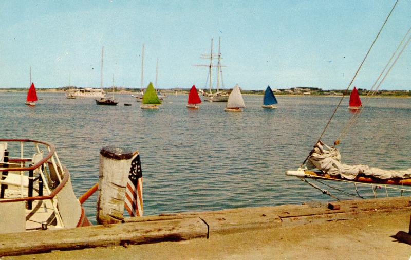 MA - Nantucket. Sailboats, The Rainbow Fleet