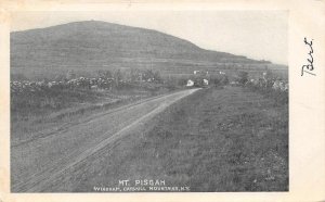 MT. PISGAH Windham, Catskill Mountains, New York ca 1900s Antique Postcard