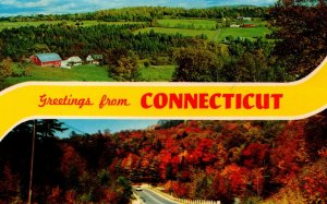 USA Greetings From Connecticut Chrome Postcard 03.89