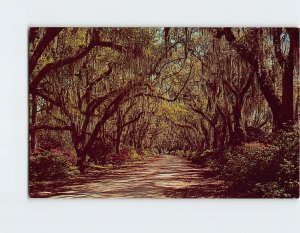 Postcard Entrance To Afton Villa, St. Francisville, Louisiana