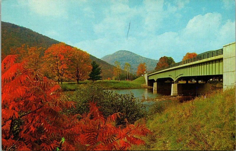 Pioneer Valley Mohawk Indian Bridge Deerfield River Trail VTG Postcard UNP 