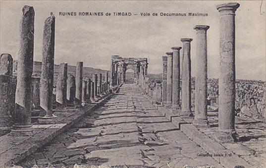 Algeria Timgad Vole de Decumanus Maximus