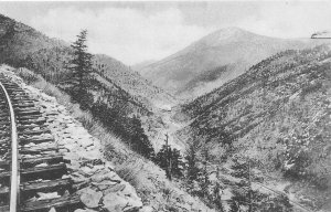 J9/ Four Mile Canyon Colorado Postcard c1910 Railroad Tracks View 64