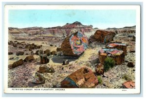 1930 Petrified Forest Near Flagstaff Cameron Arizona AZ Vintage Postcard 