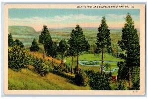 c1940's Giant's Foot and Delaware Water Gap Pennsylvania PA Postcard