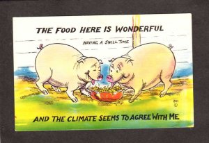 Pigs Piggy Eating Food Wonderful Having a Swill Time Comic Postcard Hogs