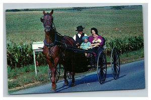 Vintage 1960's Postcard Pennsylvania Dutch Country Amish Family in Buggy