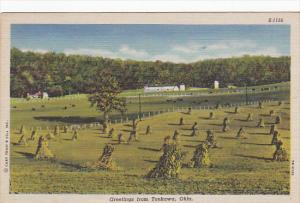 Greetings From Tonkawa Oklahoma Curteich