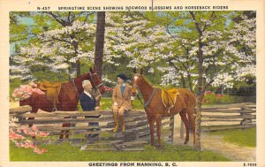 Springtime, Horses, Flowers Manning, South Carolina  