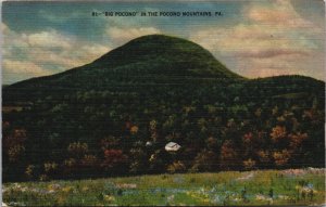 Big Pocono In The Pocono Mountains Linen Postcard  C101