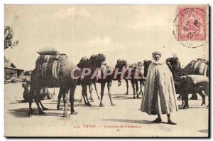 Tunisia Tunis Postcard Old Caravan of camels (camel)