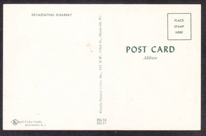 Devastating Disarray  - Koppel Color Card FG-58