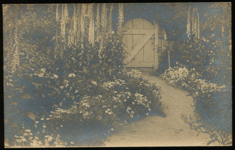 Flower garden with wooden fence. Vintage AZO real photo postcard