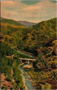 Vtg Jamaica View of Countryside River Bridge 1950s Linen Postcard