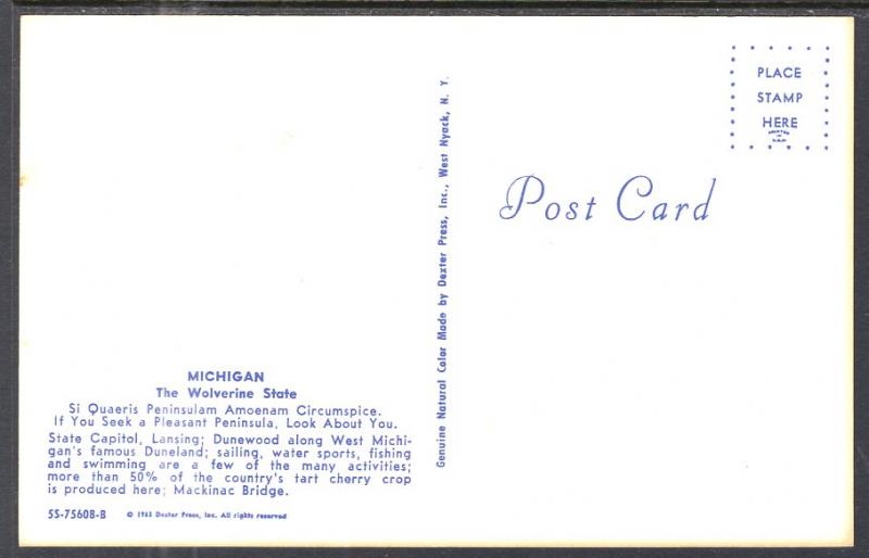 Colorful Michigan Multi-View BIN