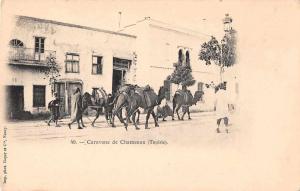 Tunisie Tunisia Caravane de Chameux Camels Antique Postcard J65834