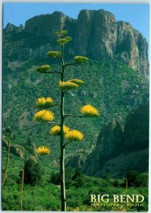 Postcard - Casa Grande - Big Bend National Park, Texas 45622954102