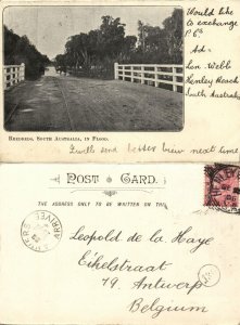 australia, SA, HENLEY BEACH, Village in Flood, Reedbeds (1906) Postcard