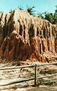 Vintage Postcard Badlands Mississippi Petrified Forest Flora MS