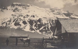 Restaurant Clubhutte Adelboden Cafe Advertising Farm Swiss Postcard