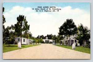 Pine Acres Motel   Largo  Florida   Postcard