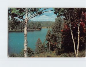 Postcard Crystal Clear Lake Greetings from Bird in Hand Pennsylvania USA