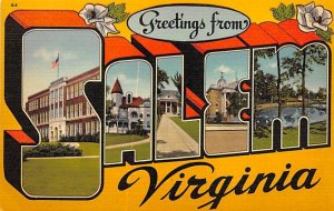 Greetings from Salem Virginia, USA Large Letter Unused 